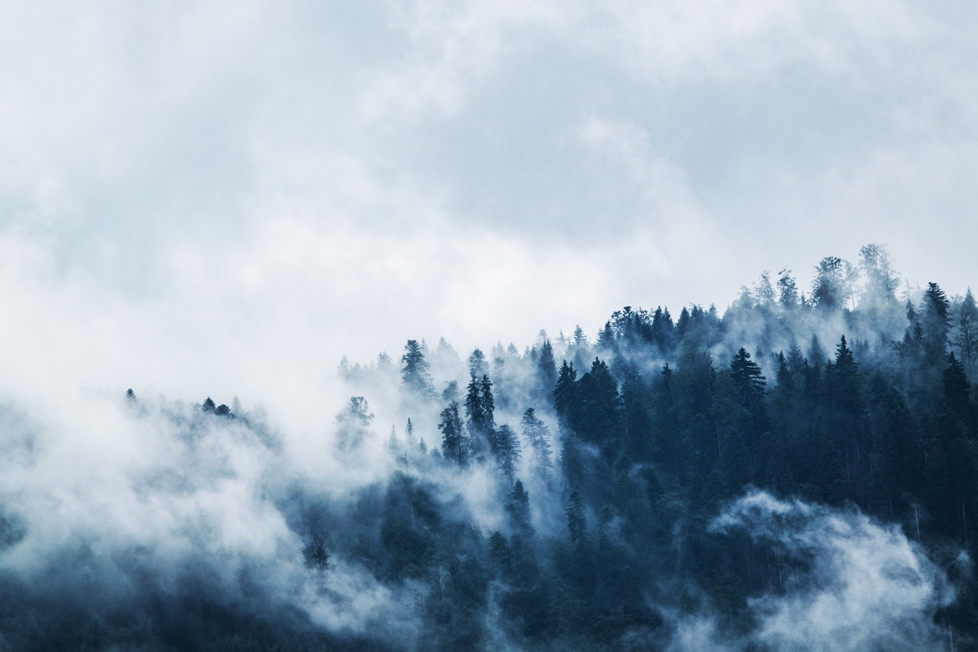 Does Vaping in the Cold Damage Your Vape?