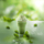 RELX-Canada RELX E-liquid 30ml