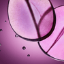 RELX Pod Pro (Autoship) Fruit 18mg ml Tangy Grape relx-vape-pod-pro-subscription-relx-canada-official-31879411728523