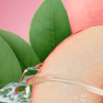 RELX Pod Pro (Autoship) Fruit 18mg ml Fresh Peach relx-vape-pod-pro-subscription-relx-canada-official-31879412220043