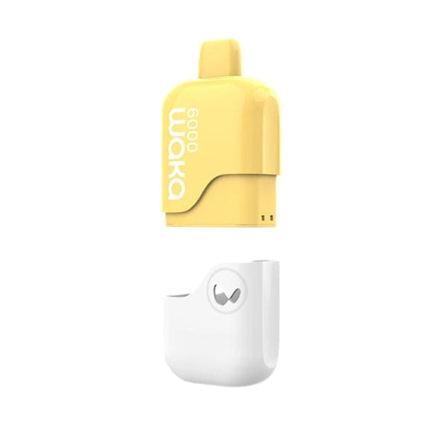 CA-WAKA Kit (device+pod) / Minty Lemon SoMatch MB6000 Kit
